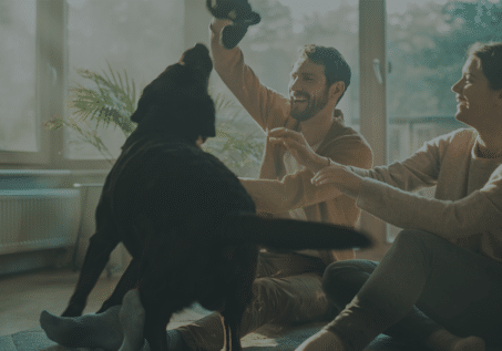 couple playing with their dog in their living room