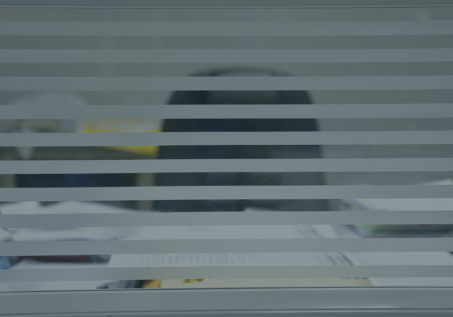 Privacy blinds office